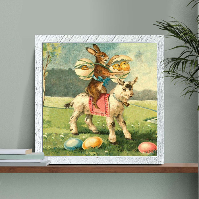 Bunny on a Lamb