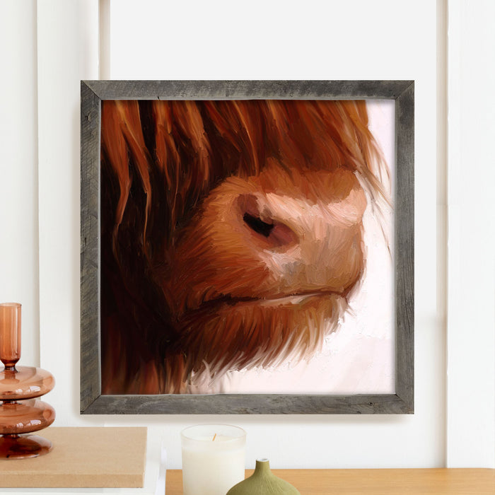 Highland Cow Face