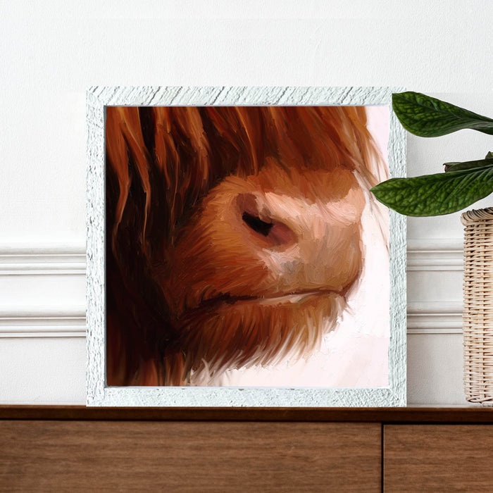 Highland Cow Face