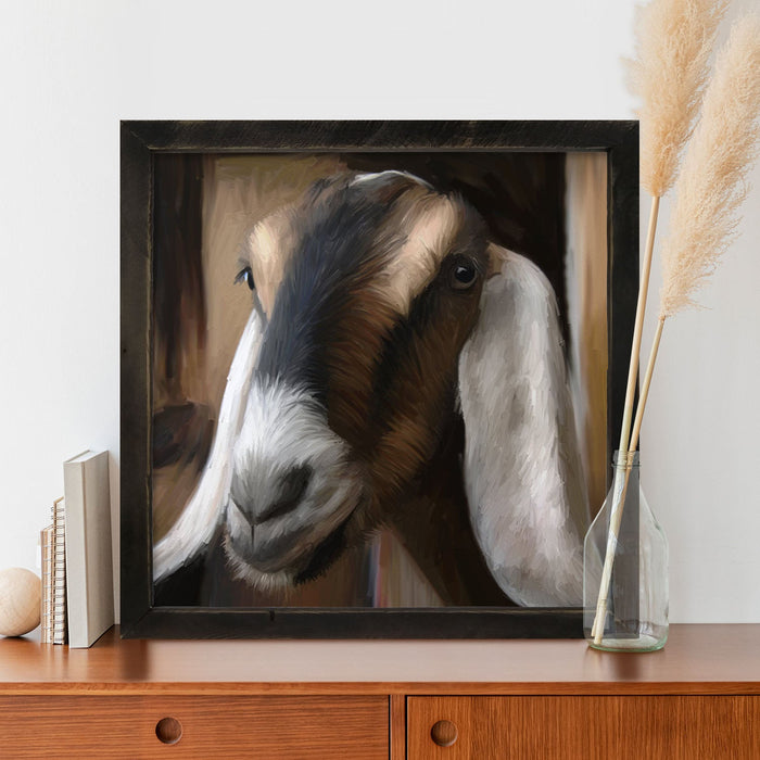 Long Earred Goat