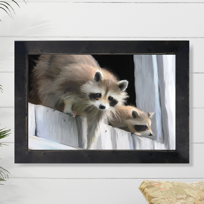 Raccoons