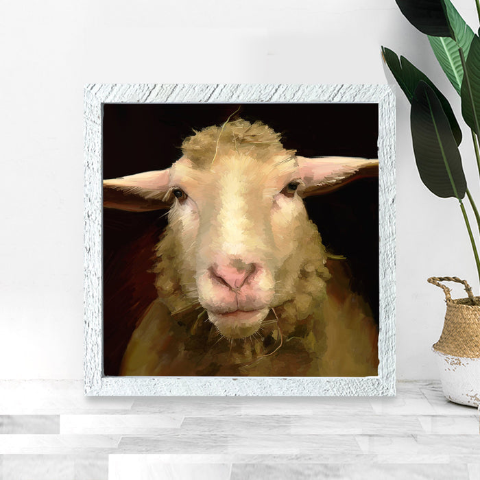 Sheep