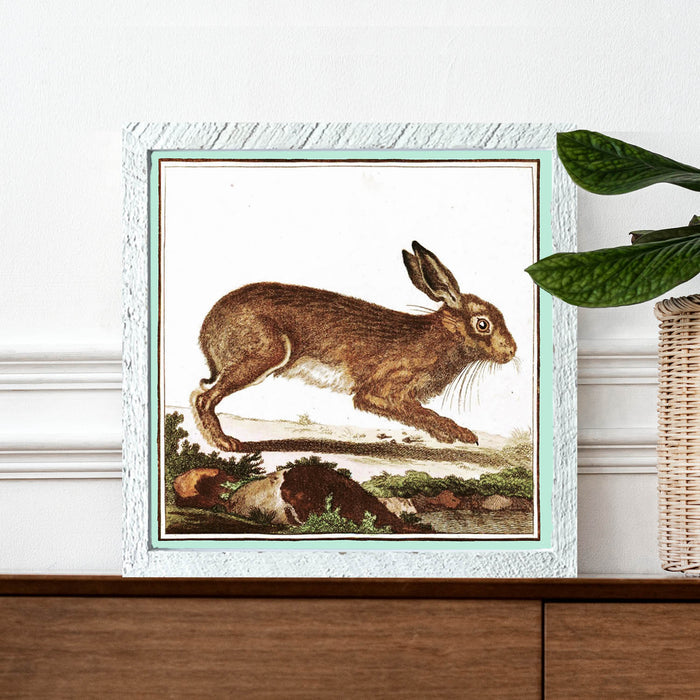 Vintage Brown Bunny
