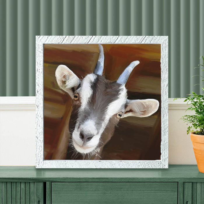 Billy Goat