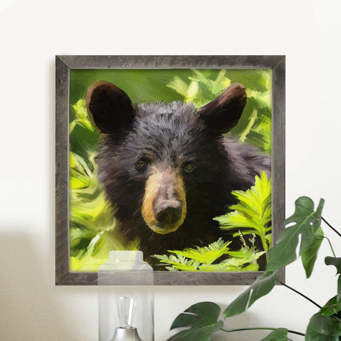 Black Bear Cub