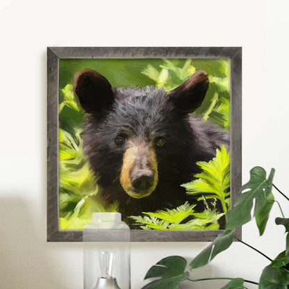 Black Bear Cub