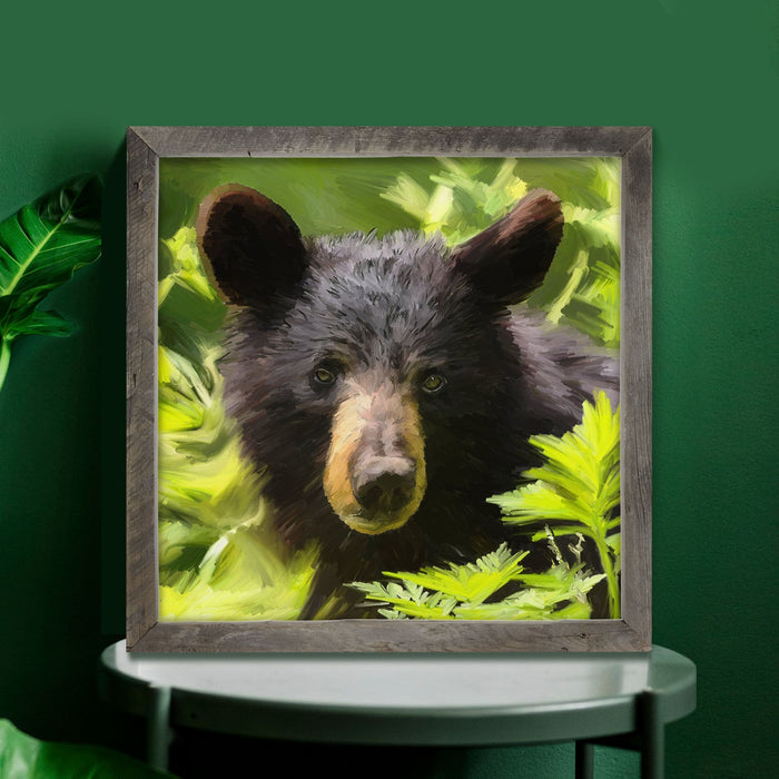 Black Bear Cub