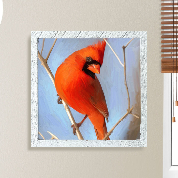 Bright Red Cardinal