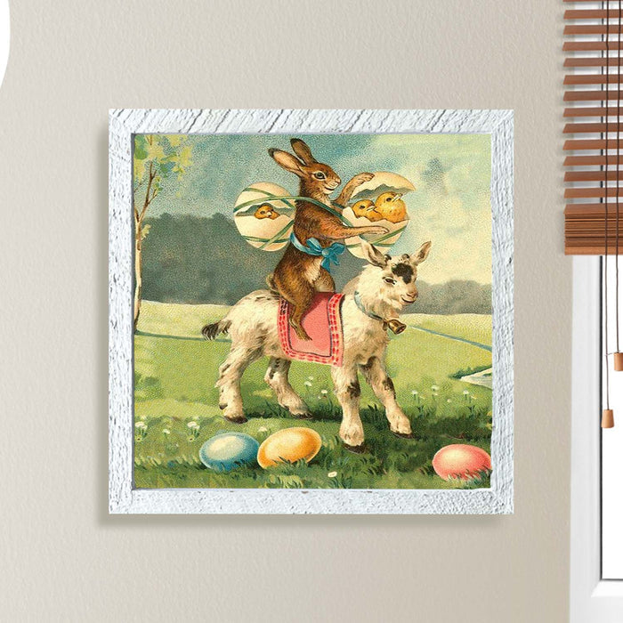 Bunny on a Lamb