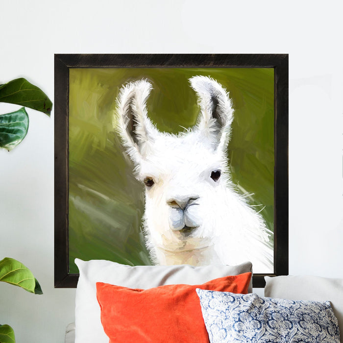 Curious Alpaca