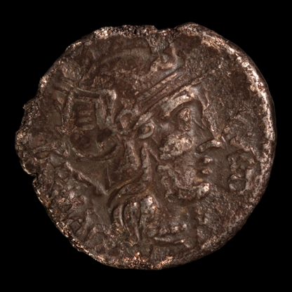 Denarius, Roman Republic, Roma & Cornucopia - 127 BCE - Roman Republic - Auction 9/6/23