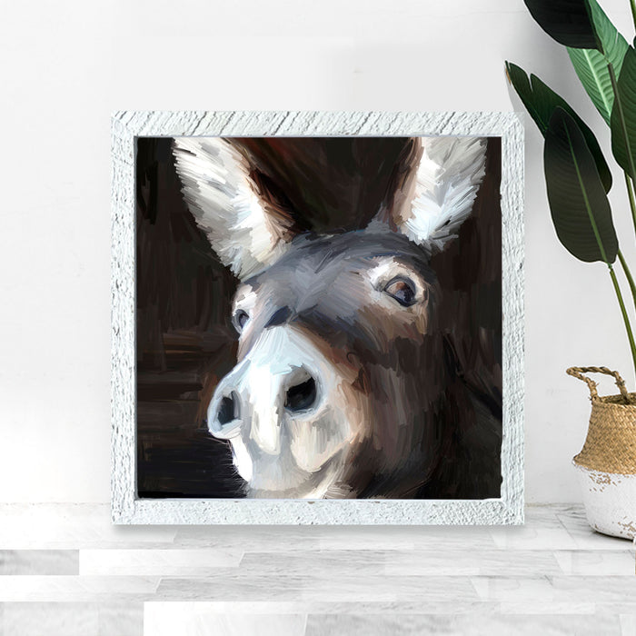 Donkey