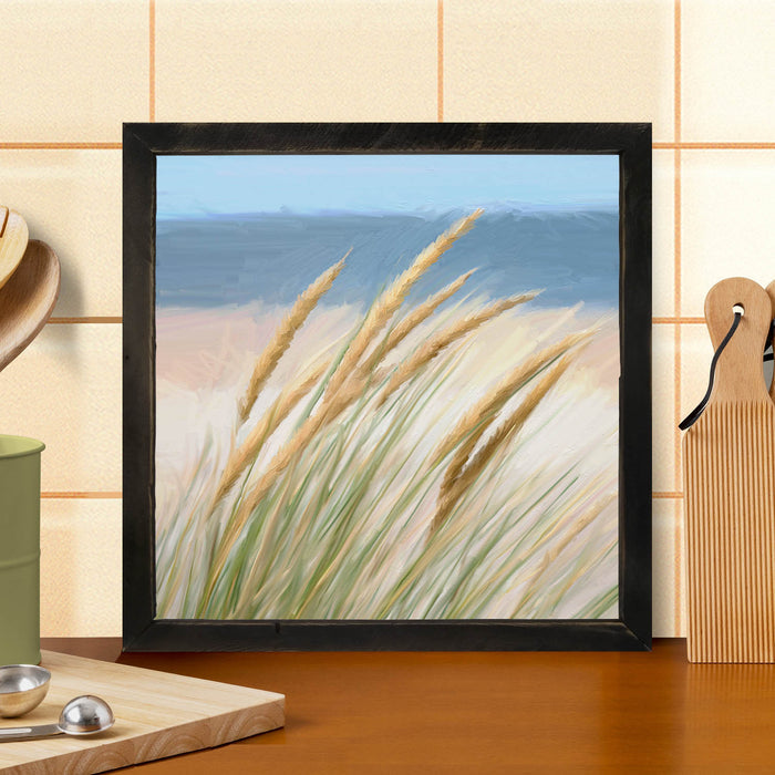 Dune Grass