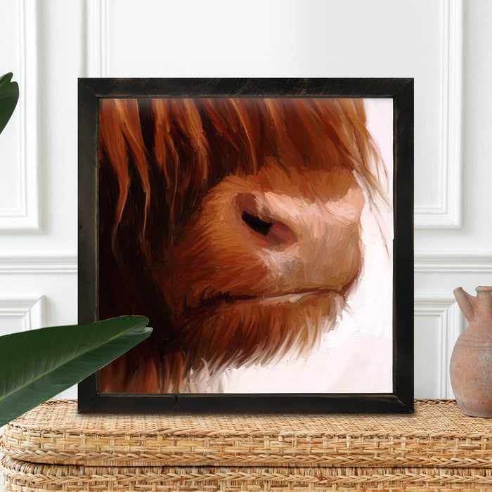 Highland Cow Face