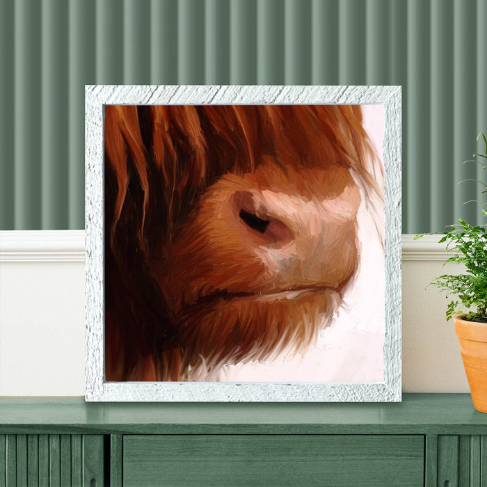 Highland Cow Face
