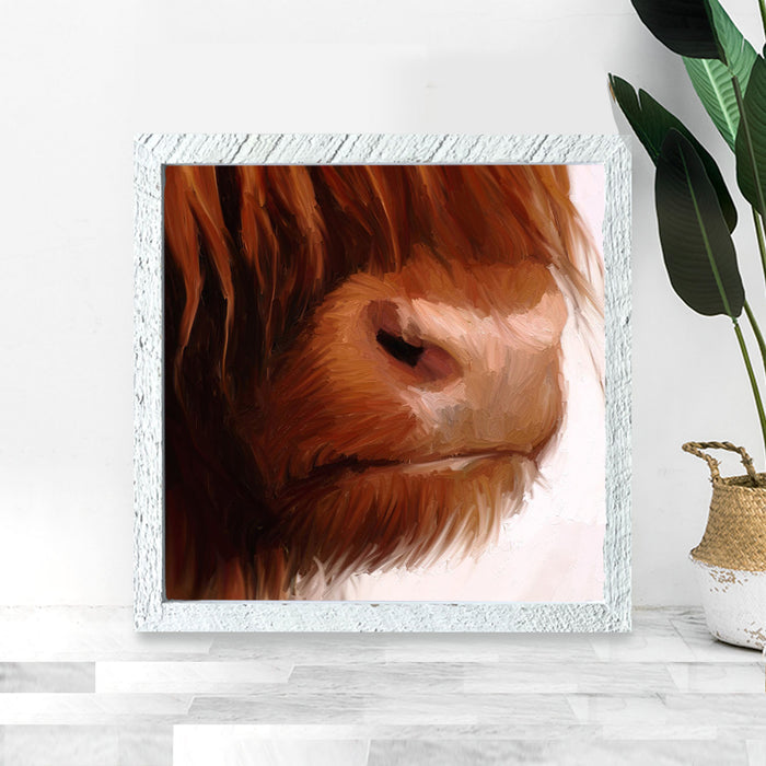 Highland Cow Face
