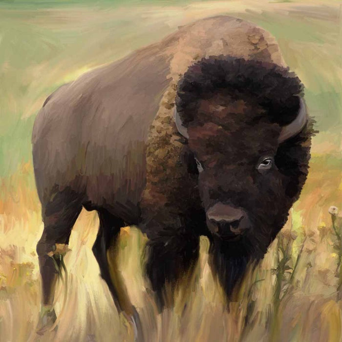 without_frame_square