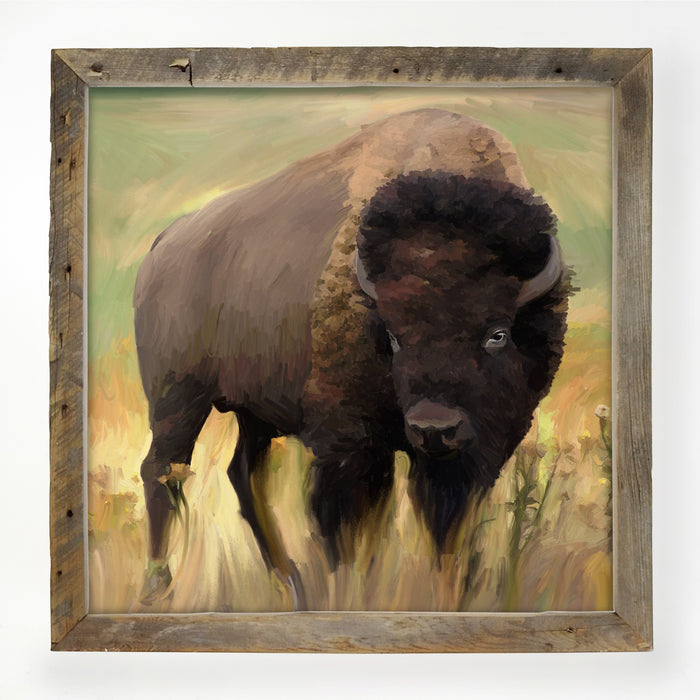 Lone Buffalo