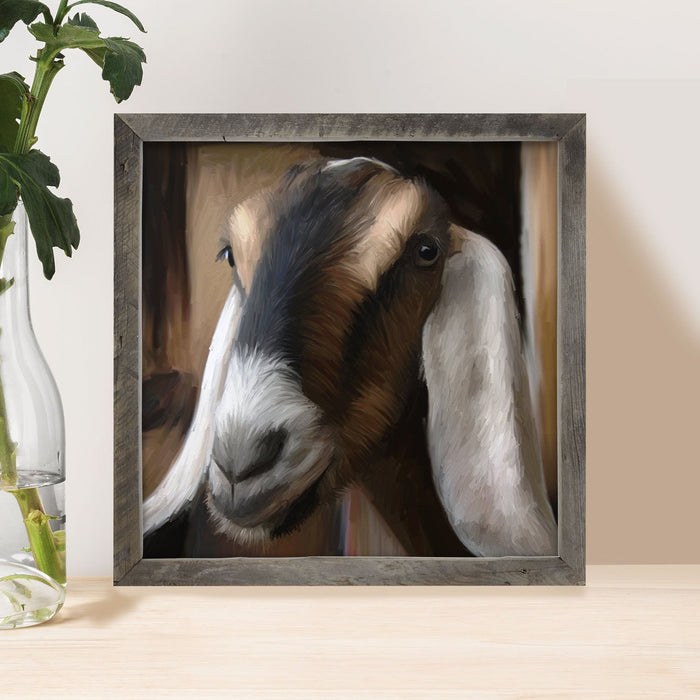 Long Earred Goat
