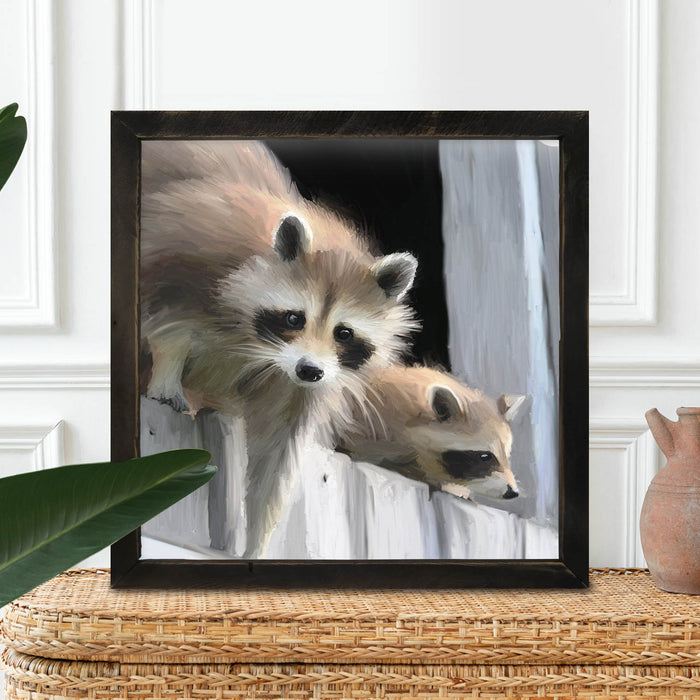 Raccoons