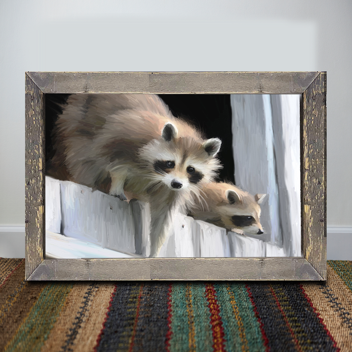 Raccoons