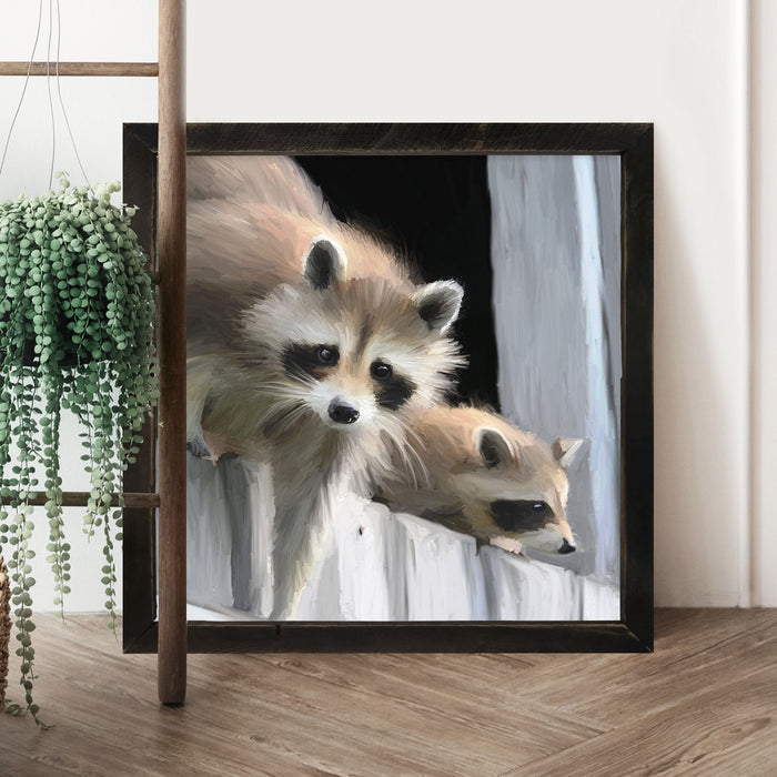 Raccoons