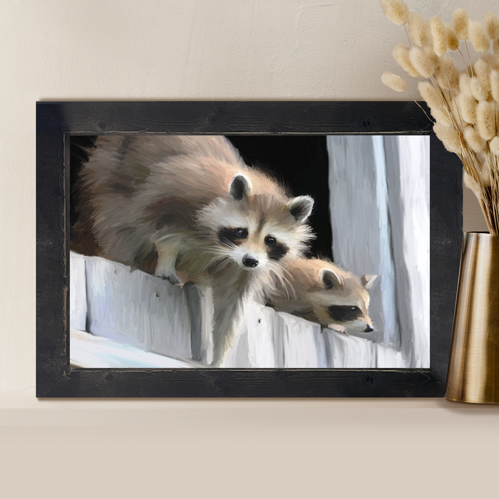 Raccoons