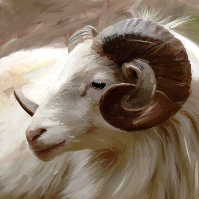 without_frame_square