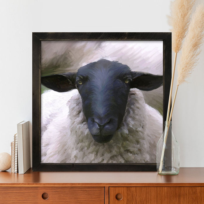 Sheep Close Up