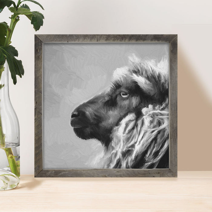 Sheep Portrait