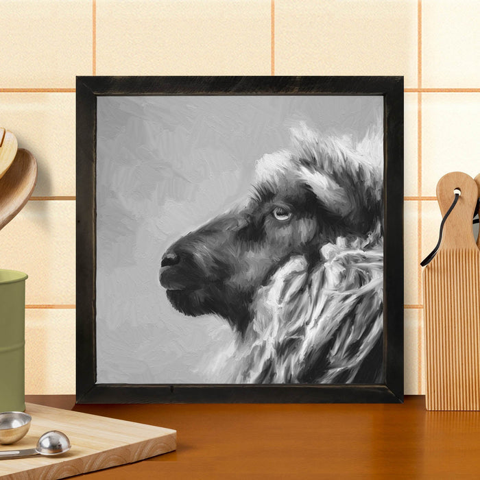 Sheep Portrait