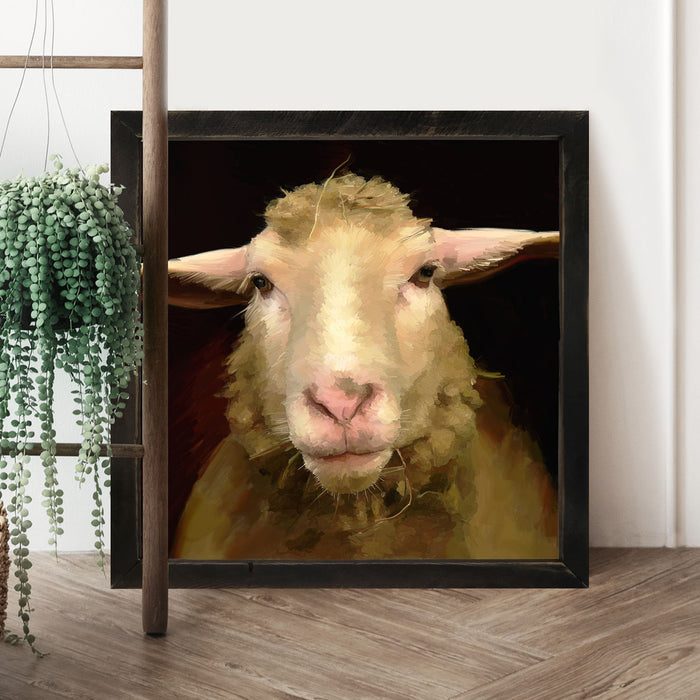 Sheep