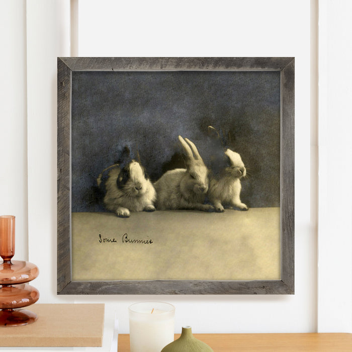 Some Bunnies