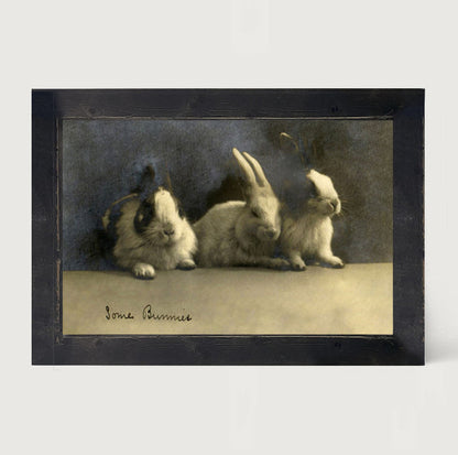 Some Bunnies