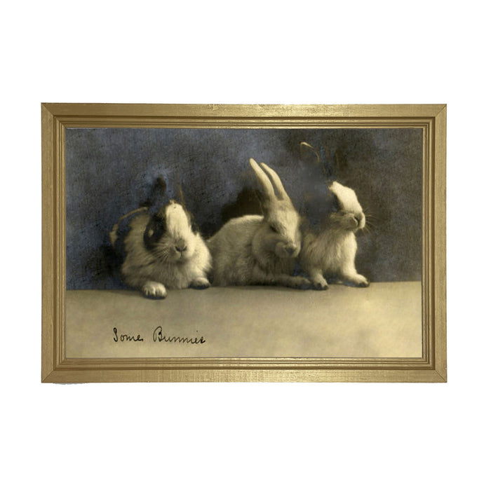 Some Bunnies