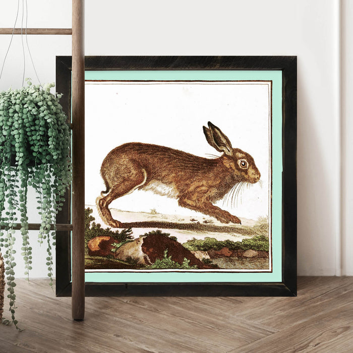 Vintage Brown Bunny