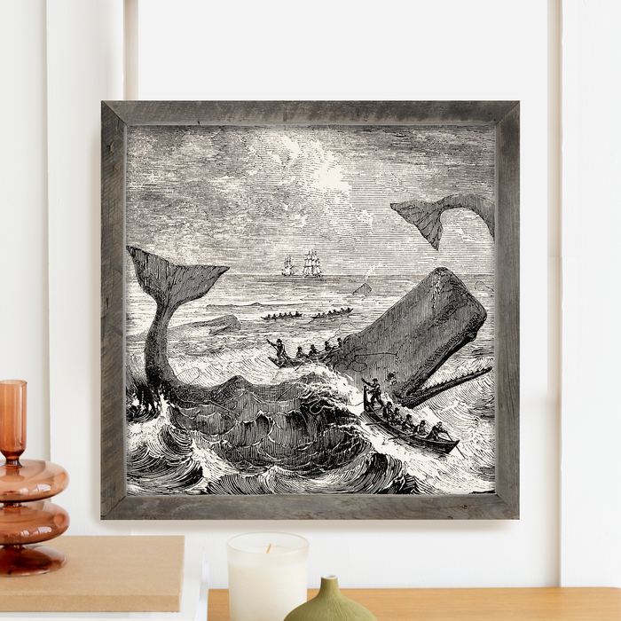 Whales Fight Back