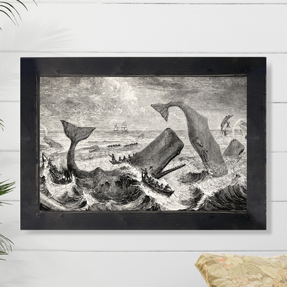 Whales Fight Back