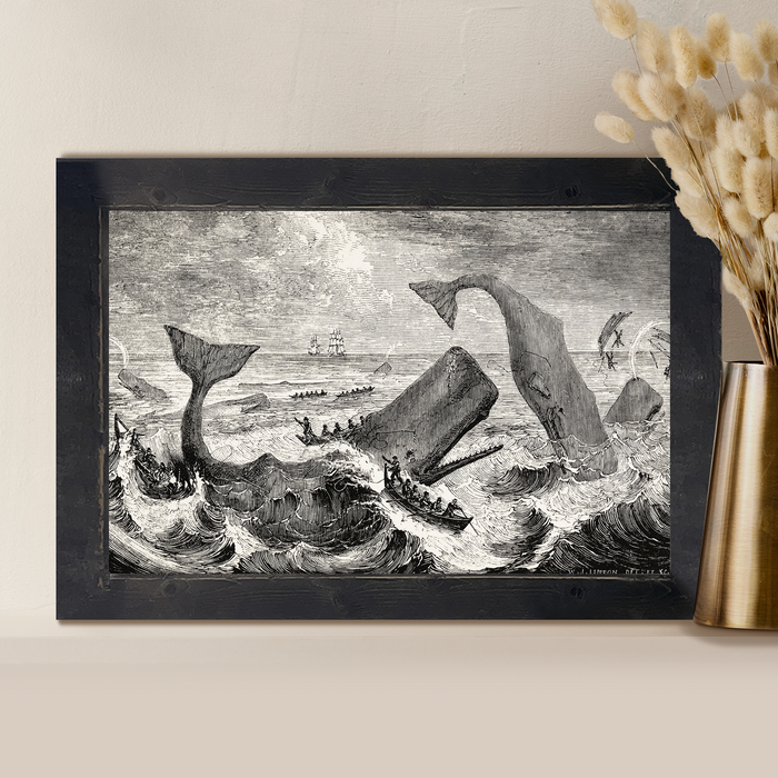 Whales Fight Back